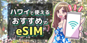 ハワイで使えるeSIMおすすめ比較8選！電話番号付きや無制限で利用できるサービスはある？