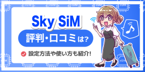 SkySiMの評判や口コミは？ メリット・デメリットや設定方法を徹底解説！【スカイシム】