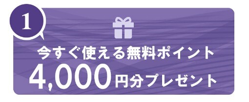ヴェルニ 無料ポイント
