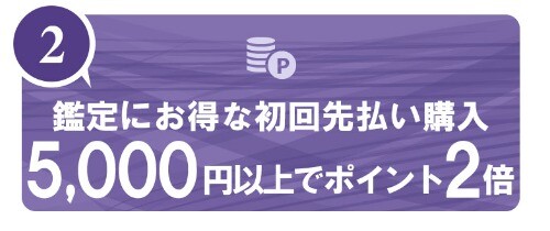 ヴェルニ 初回先払い購入