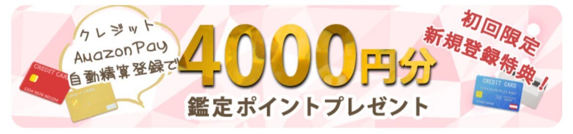 ヴェルニ 自動精算登録で4,000円分プレゼント