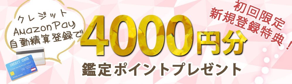 ヴェルニは4,000円分の無料ポイントがもらえる