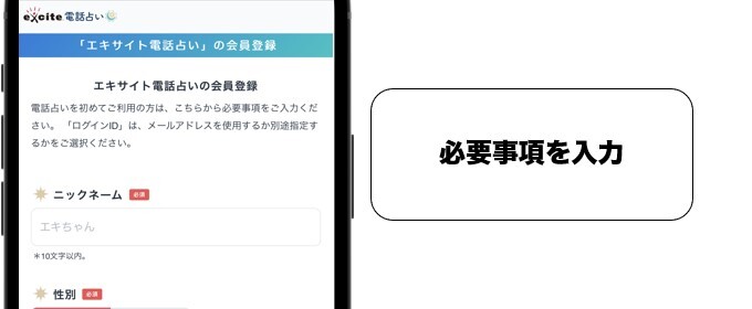 エキサイト 必要情報の入力