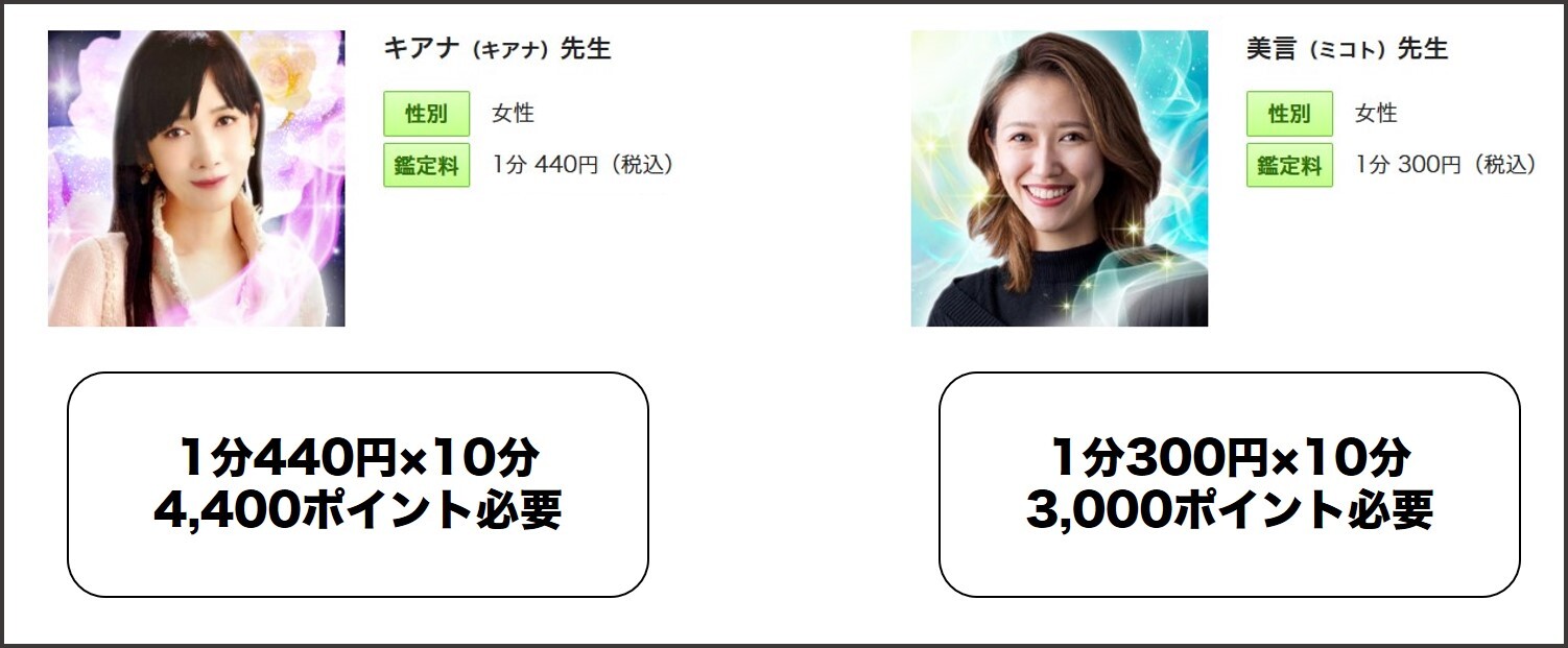 電話占い 先生の値段確認