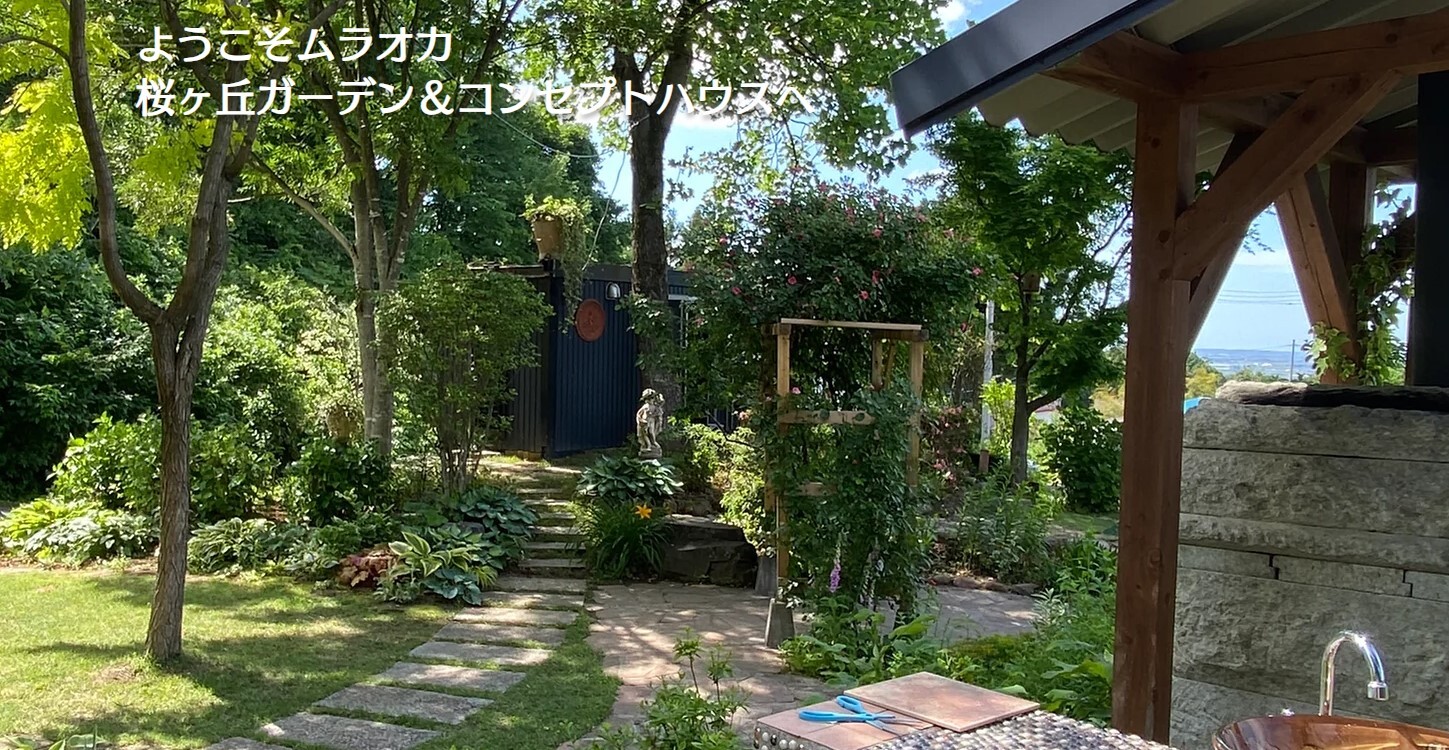 ムラオカ