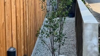 Garden 彩_2