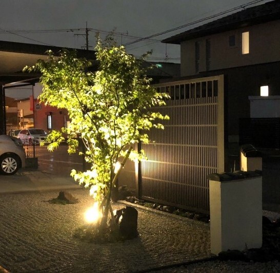 クワナ_2