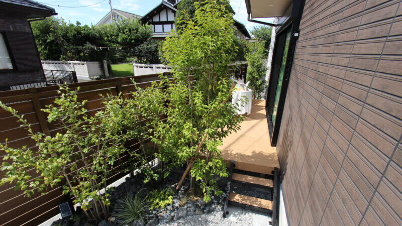 木村植物園_2