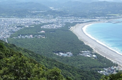 美浜町