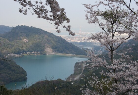高城山
