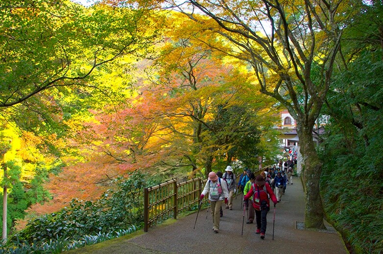 清水山もみじウォーク