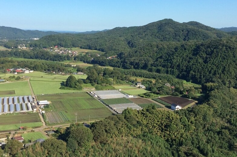 茂木町の緑豊かな風景