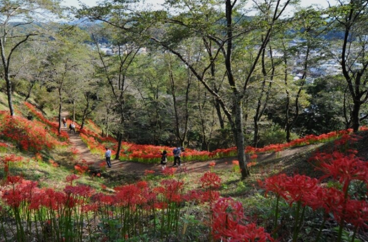 城山公園茂木城跡