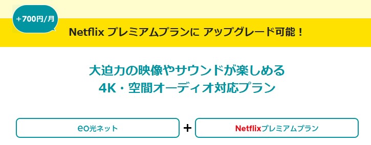 eo光　Netflixプレミアムプランパック