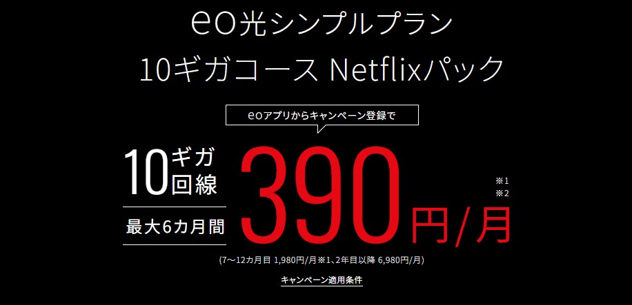 eo光シンプルプラン 10ギガコースNetflixパック