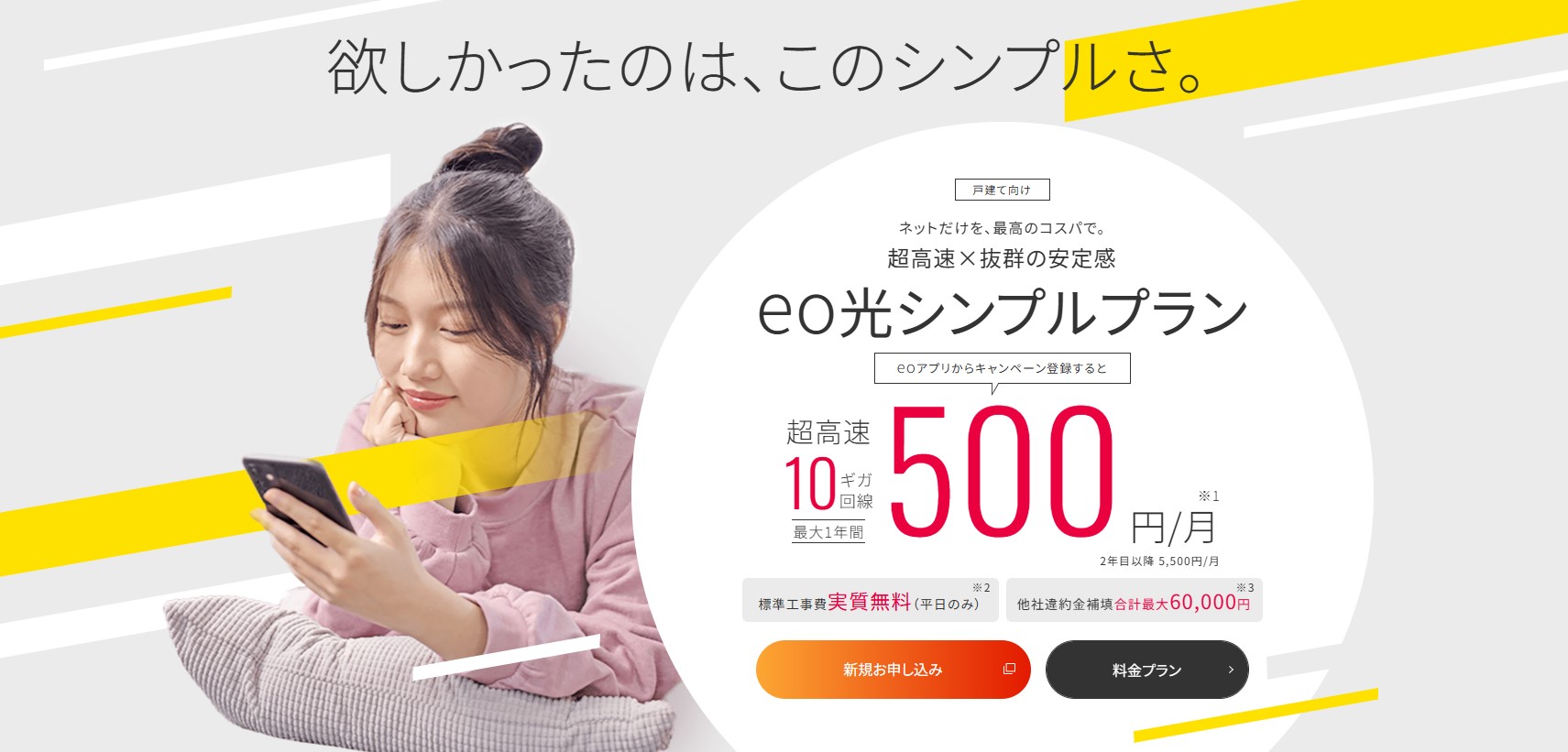 eo光シンプルプラン