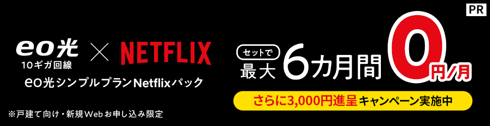 eo光シンプルプラン_netflixパック