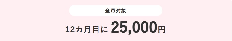 ビッグローブ光_通常キャッシュバック25,000円