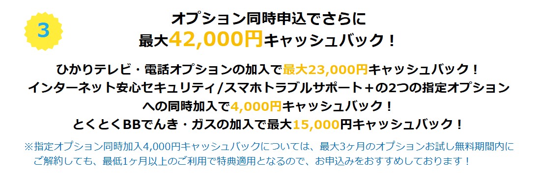 GMOとくとくBB光はオプション加入で追加還元の画像