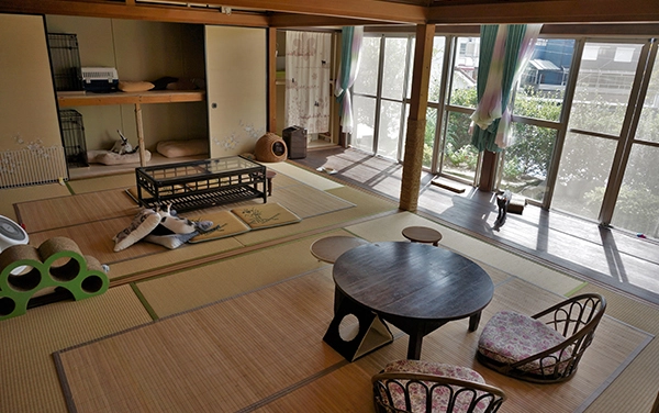 めおまるけカフェ