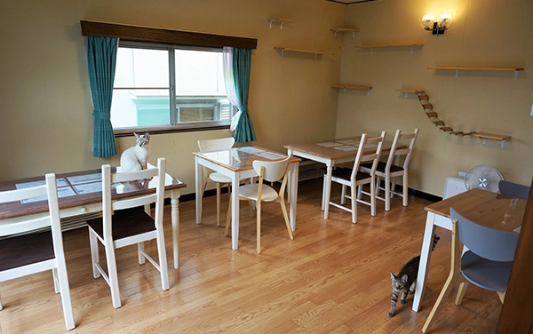 めおまるけカフェ