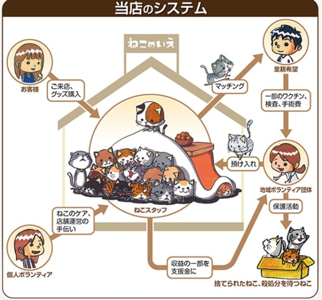 ねこ達のいえのシステム
