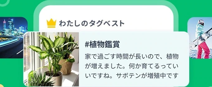 私のベスト趣味タグ