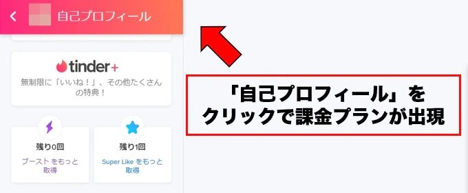 【番外編】Web版の課金方法