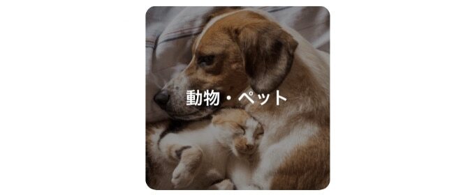 動物・ペット