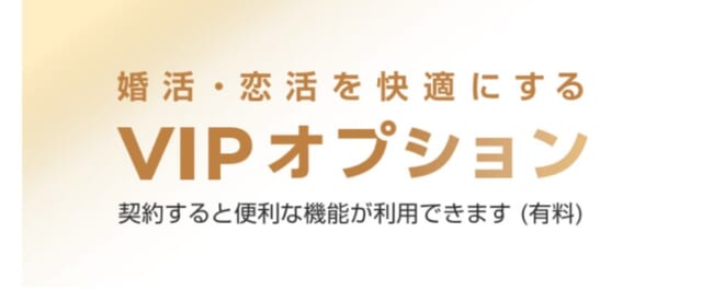 withのVIPオプションの解説