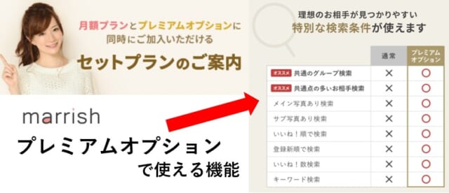 マリッシュのプレミアムオプションの解説画像