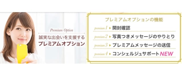 youbrideのプレミアムオプションの説明画像