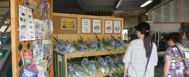 ハナシマ農園の直売所写真