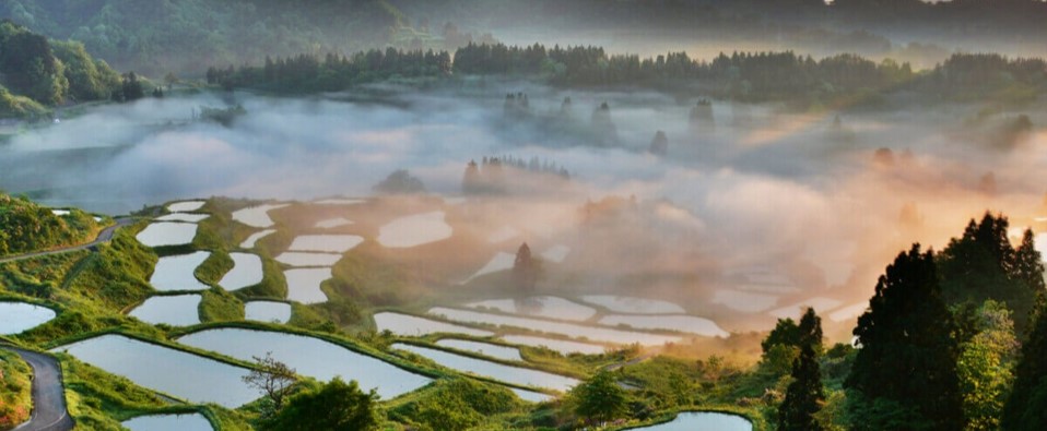 星峠の棚田