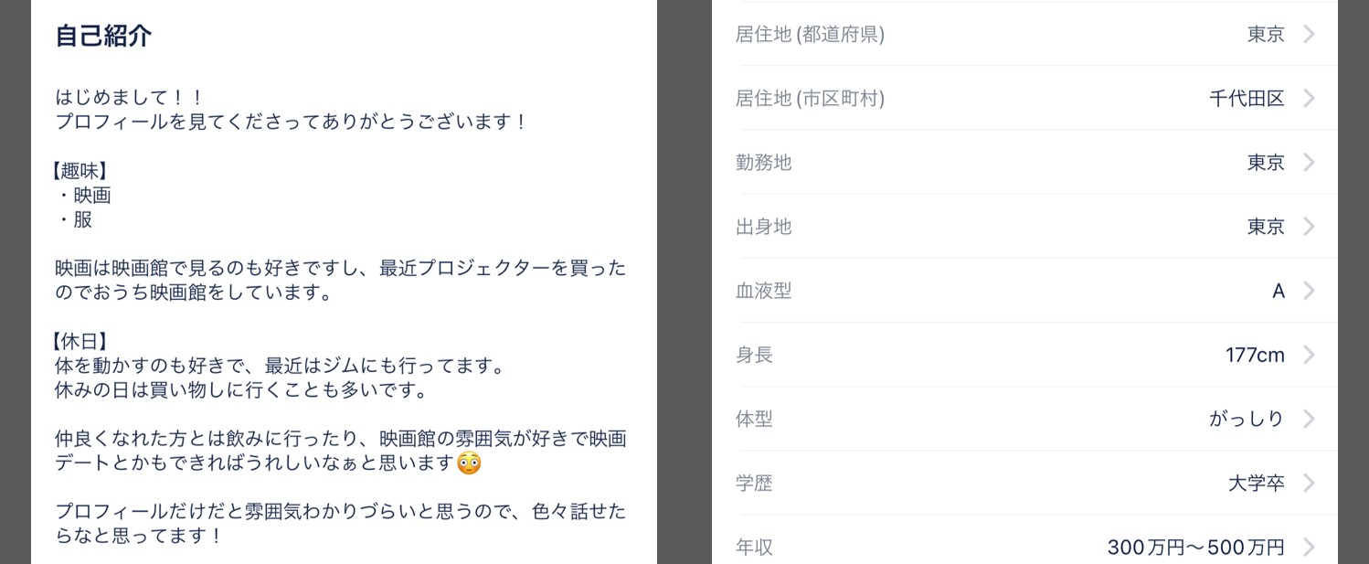 作り込んだプロフィールの例