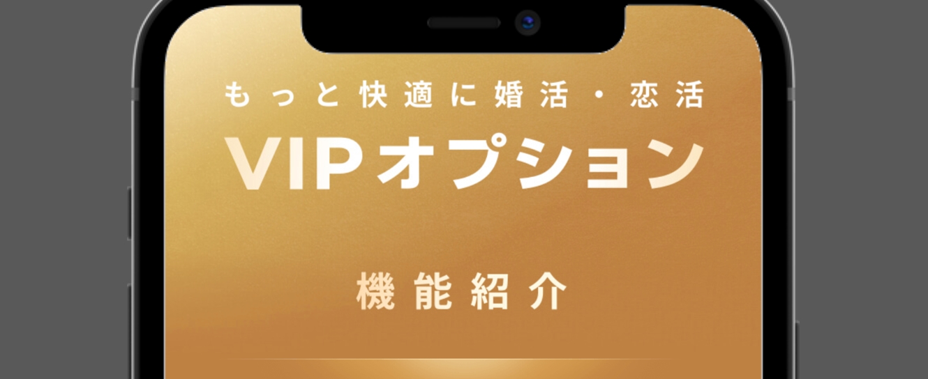 with VIPオプションとは