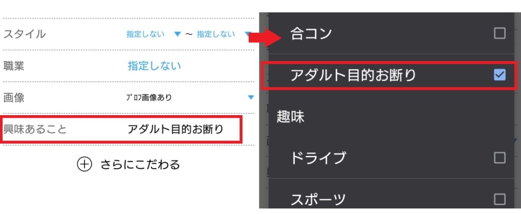 アダルト目的お断りにチェックを入れる写真