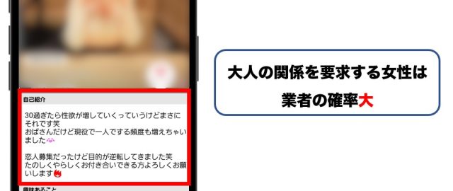 自己紹介文で大人の関係を求めている