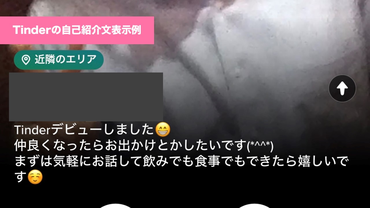 Tinder 自己紹介文表示例