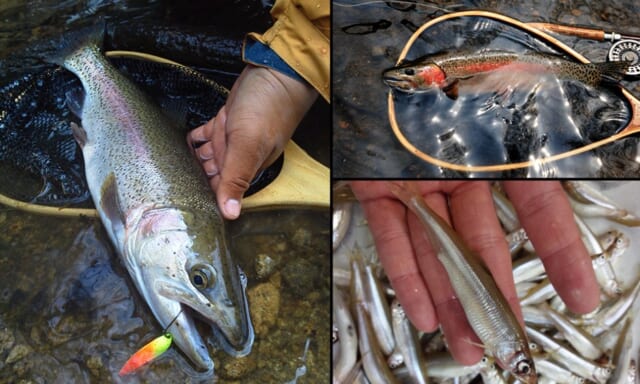 ルアーフィッシング