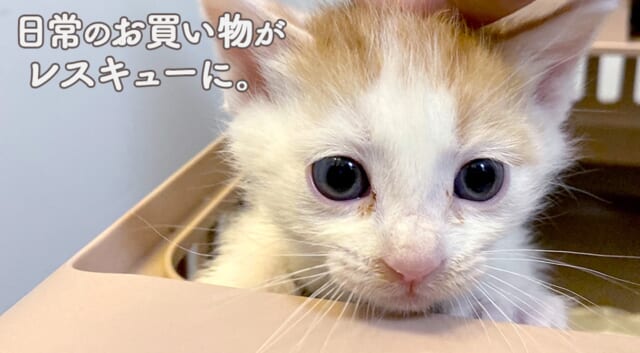 ネットショップ