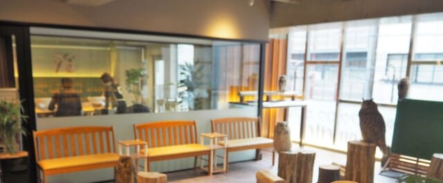 幸せのフクロウカフェchouette