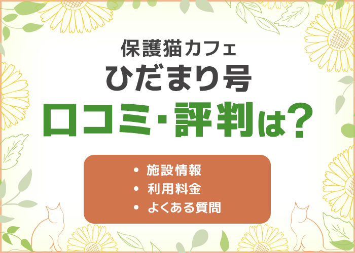 保護猫カフェ「ひだまり号」の口コミ・評判は良い？デートにおすすめ！