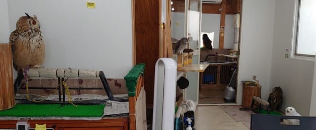 ふくろうの集うカフェQuill