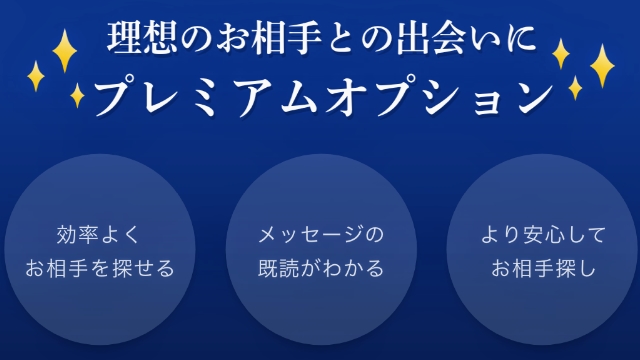 プレミアムオプションの料金・機能説明