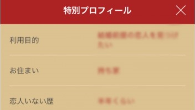 3.特別プロフィールを入力する