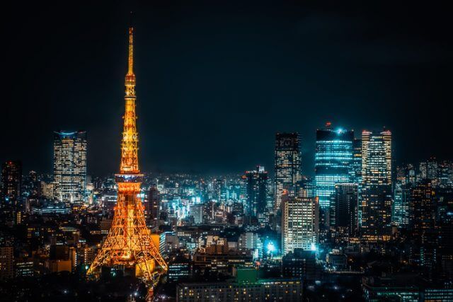 東京タワーが見える夜景の写真