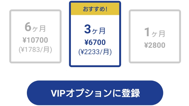 VIPオプションの料金・機能説明
