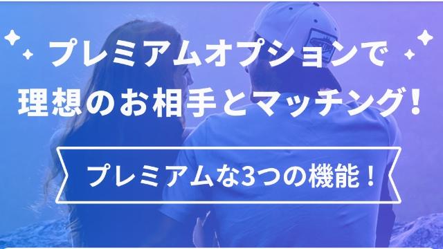 プレミアムオプションの料金・機能説明