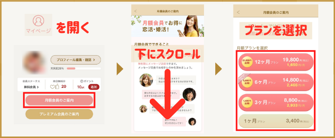 マリッシュ　料金　有料プラン申し込み手順